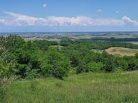 Belvedere Coniolo da Pontestura
