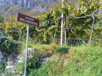 Belvedere von Pavione
