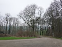 Benedictusberg