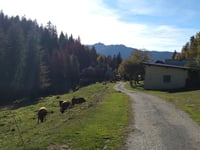 Bénétant von Cevins