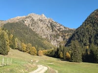 Bénétant von Cevins
