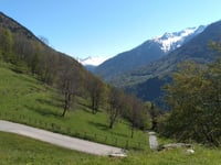 Bénétant von Cevins