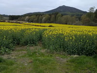Bennachie Forest von Bennachie Visitor Centre