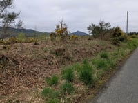 Bennachie Forest por Blairdaff