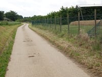 Berg über Nellestraat