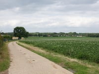 Berg über Nellestraat