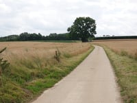 Berg über Nellestraat