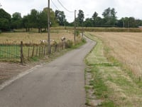 Berg über Nellestraat