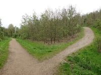 Bergehalde Grube Adolf from Plitschard