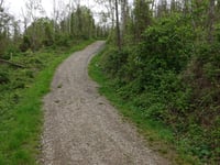 Bergehalde Grube Adolf from Plitschard