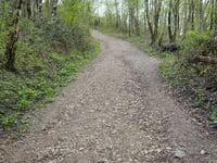 Bergehalde Grube Adolf from Plitschard