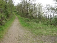 Bergehalde Grube Adolf from Plitschard