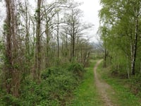 Bergehalde Grube Adolf from Plitschard