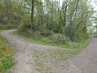 Bergehalde Grube Adolf from Plitschard