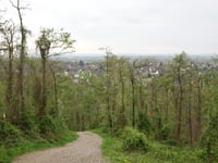 Bergehalde Grube Adolf from Plitschard
