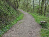 Bergehalde Grube Adolf from Plitschard