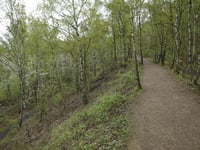 Bergehalde Grube Adolf from Plitschard