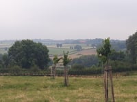 Bergenhuizen