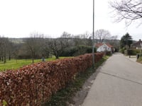 Bergenhuizen