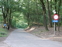 Bergerven