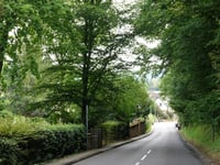 Bergheim über Rosenhof