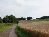 Bergheim über Welk