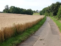 Bergheim über Welk