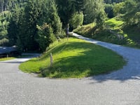 Bergnerweg über Stiegerweg