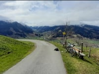 Bergnerweg über Stiegerweg