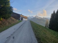 Bergnerweg über Stiegerweg