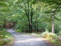 Bergscheid von Eupen über Chemin de Hestreux