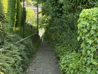 Bergstraat from Hoeilaart