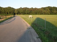 Bergstraat da Opitter