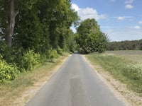 Bergstrasse da Börgerwald