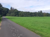 Bergstrasse von Burgen
