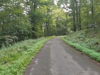 Bergstrasse von Burgen