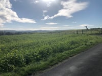 Bergstrasse von Frasselt