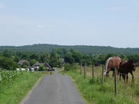 Bergstrasse por Heyberg