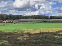 Bergstrasse über Sieringhoeker Weg