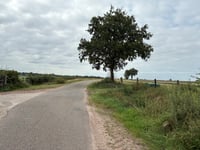 Bergweg via Buurtschapsweg