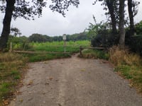 Berkenweg