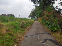Berkenweg