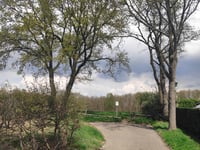 Berkenweg
