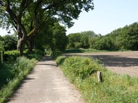 Berkenweg