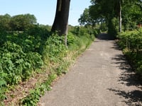 Berkenweg