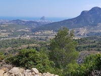 Bèrnia via Pinos