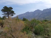 Bèrnia via Pinos