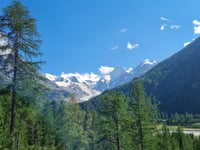 Passo del Bernina von Samedan