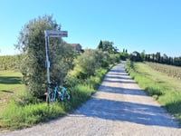 Bertinoro via Via Cellaimo vecchia
