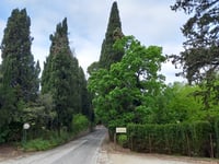 Bertinoro depuis Panighina